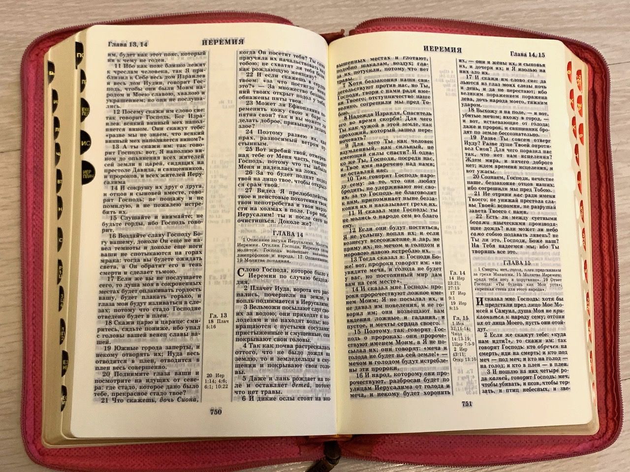 Библия 077ztifib кожаный переплет с кожаной молнией и индексами, цвет