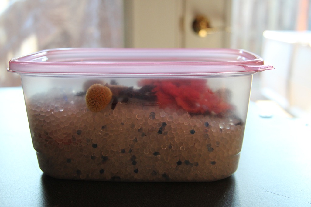 Diy Silica Gel Flower Preservation Drying Flowers in Silica Gel Flower Preservation