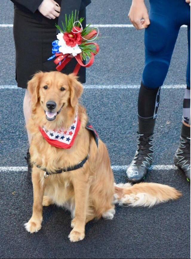 Service Dog Libra Helps Summer Battle Fear With Love and Courage