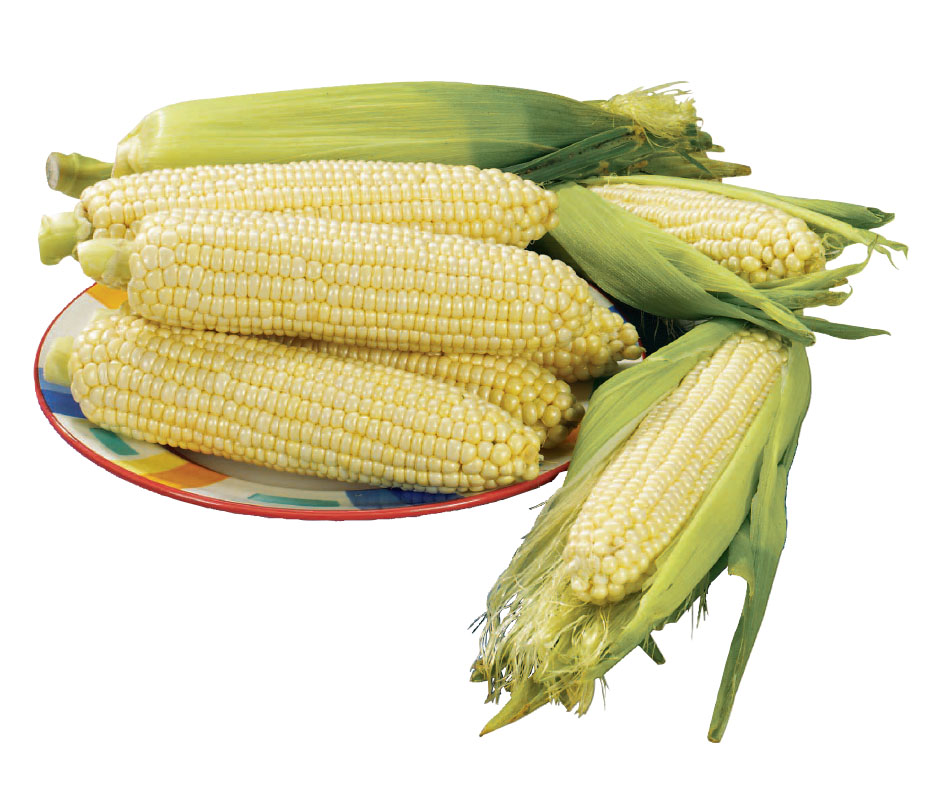 Sweet Corn Sale, Only 0.13 an Ear Save 78 Super Safeway