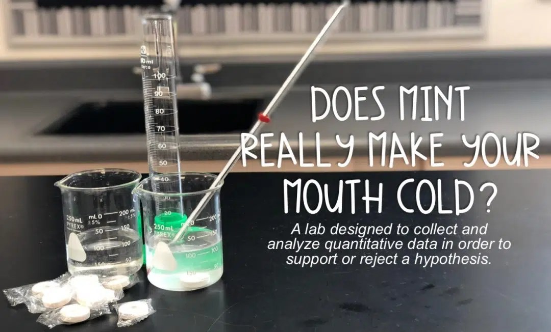 Does Mint Really Make Your Mouth Cold? Super Sass & Science Class