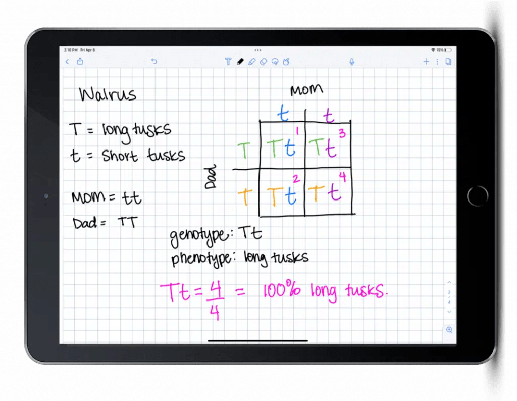 Your Tried and True Strategy to Teach and Troubleshoot Square