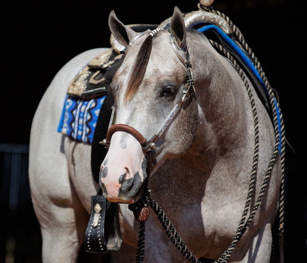 VS Phantom Code Super Sires