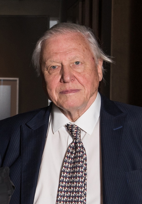 David Attenborough Biography, Height & Life Story Super Stars Bio(04)