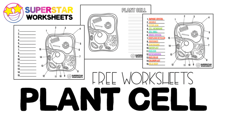 Plant Cell Worksheets - Superstar Worksheets
