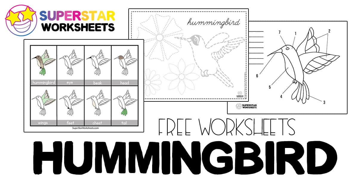 Hummingbird Worksheets Superstar Worksheets