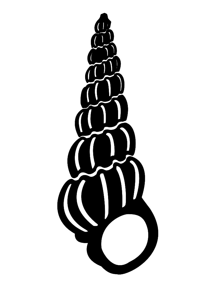 Seashell Stencil Patterns