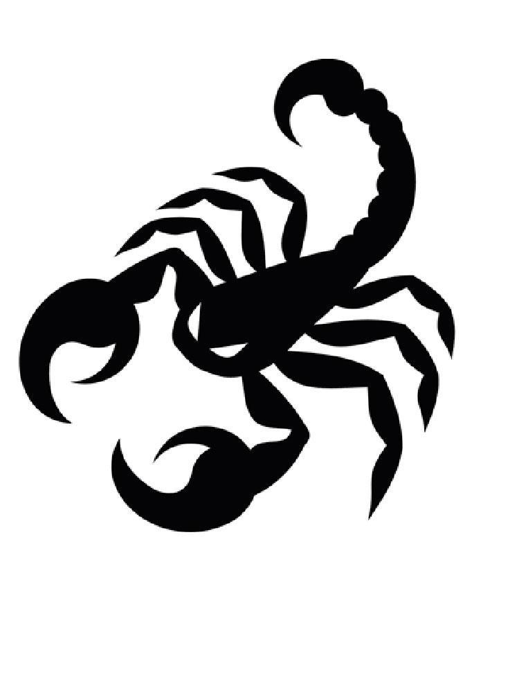 Szablony Skorpion Szablony Skorpion