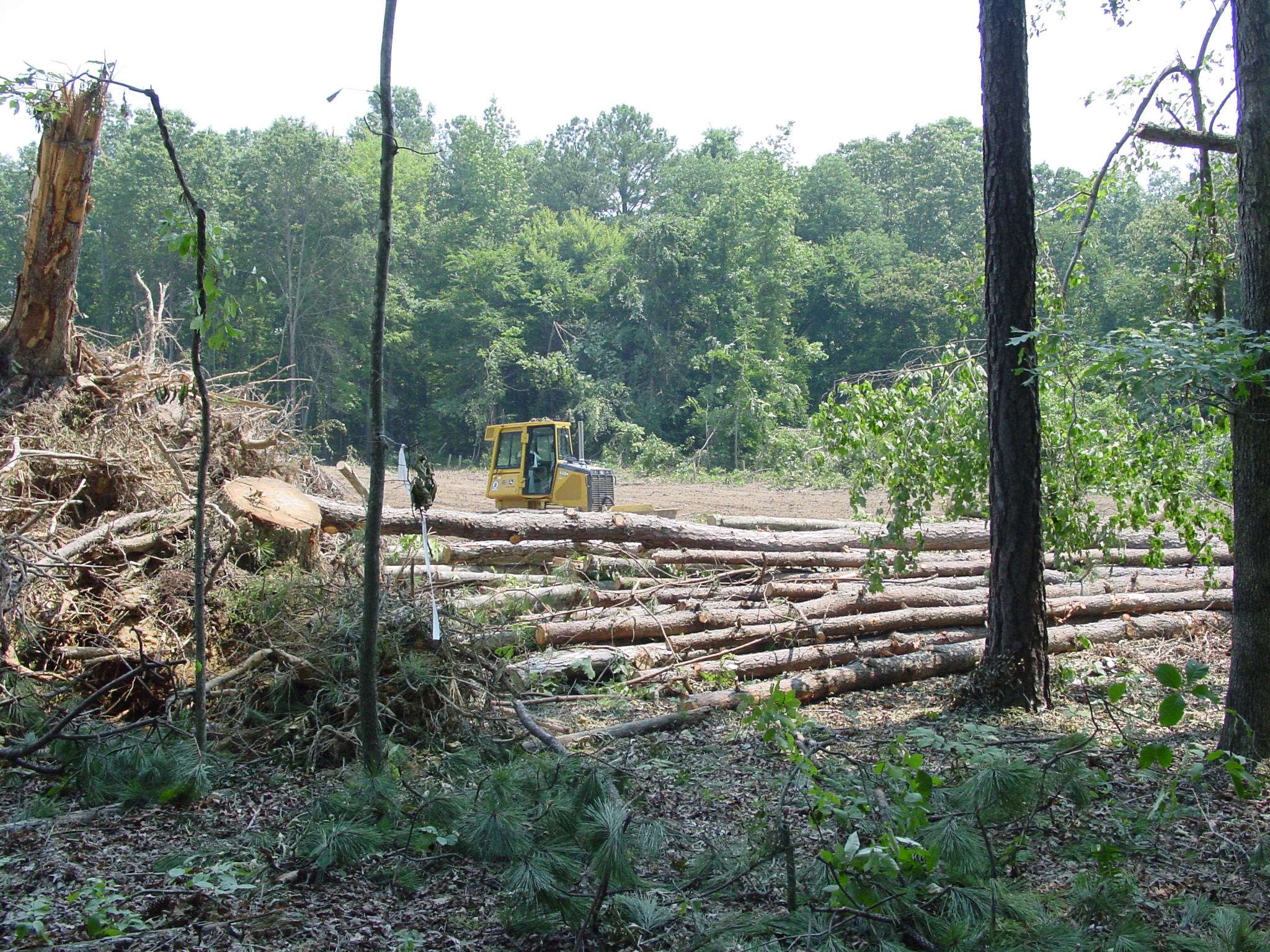 Donnelly Chiropractic Center Super Structures General Contractors