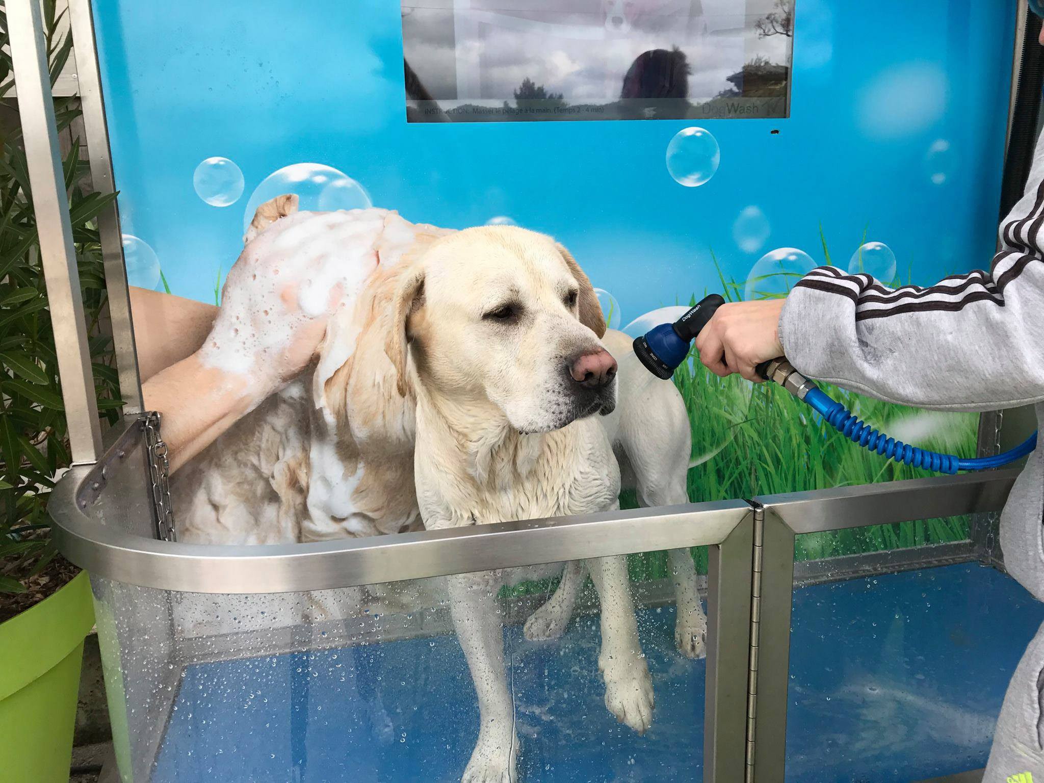 Dog Wash Super Suds Car & Dog Wash