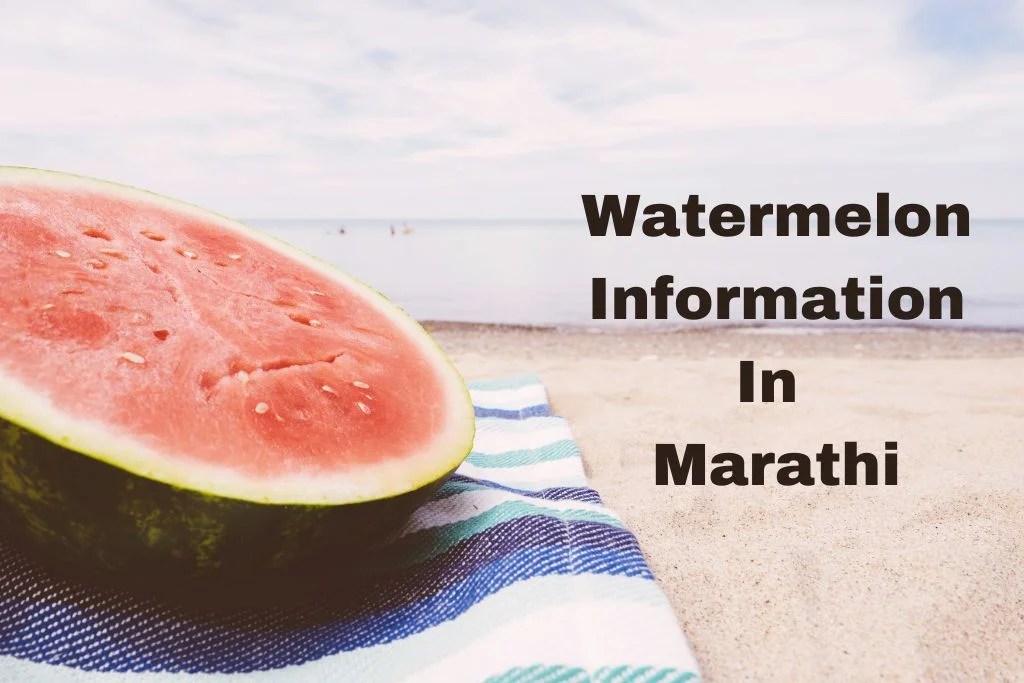टरबूजची संपूर्ण माहिती मराठी Watermelon Information In Marathi