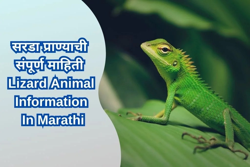 सरडा प्राण्याची संपूर्ण माहिती Lizard Animal Information In Marathi