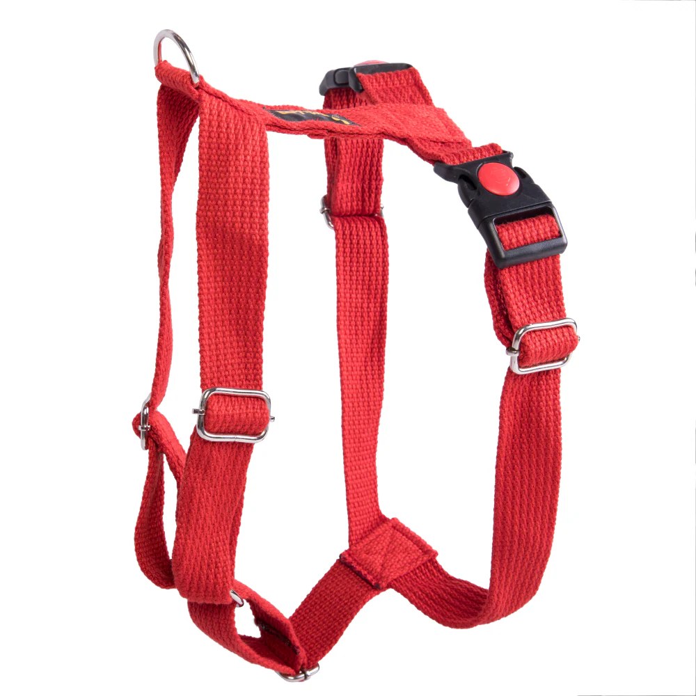 Let's Wag H Harness for Dogs (Red) Supertails