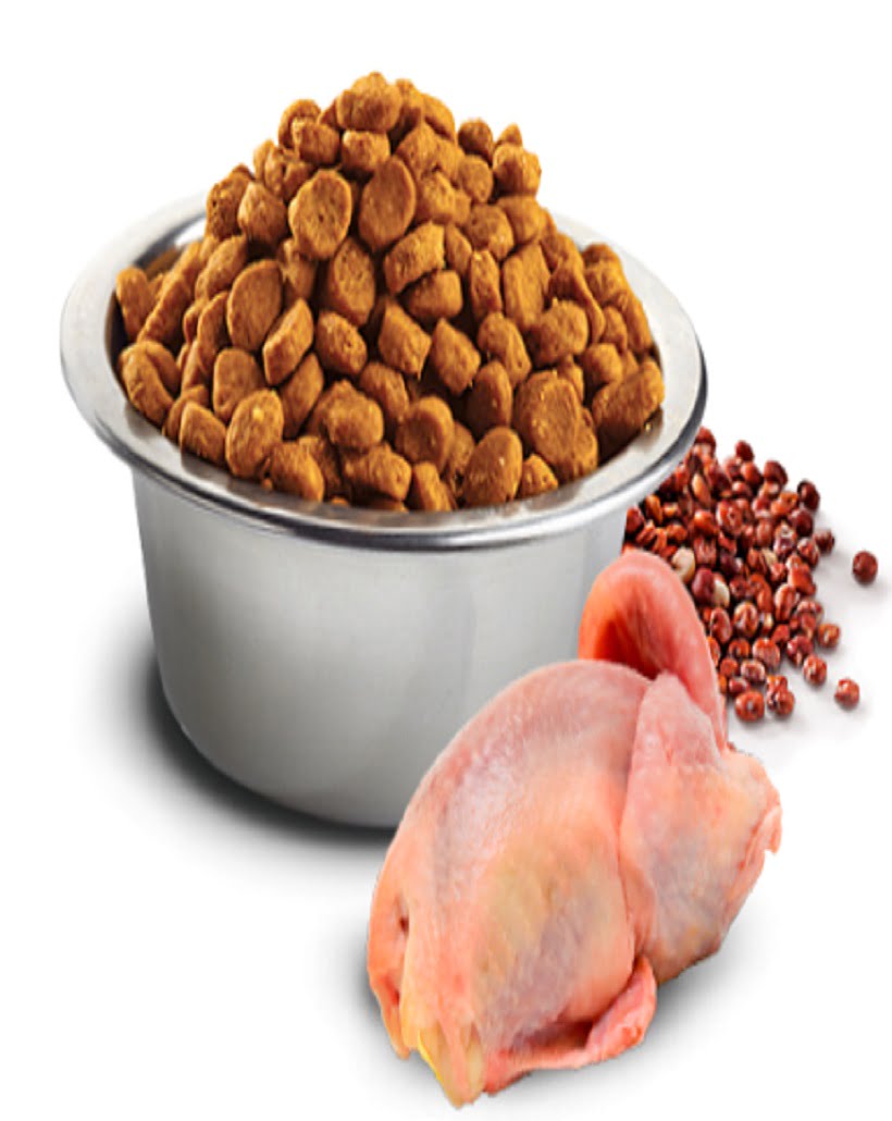 Farmina N&D Quinoa Skin and Coat Quail Adult Dog All Breeds