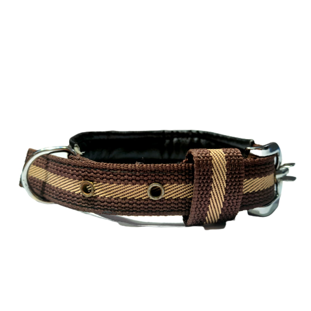Premium Dog Collar Belt (Color May Vary) Supervet Online Pet Services