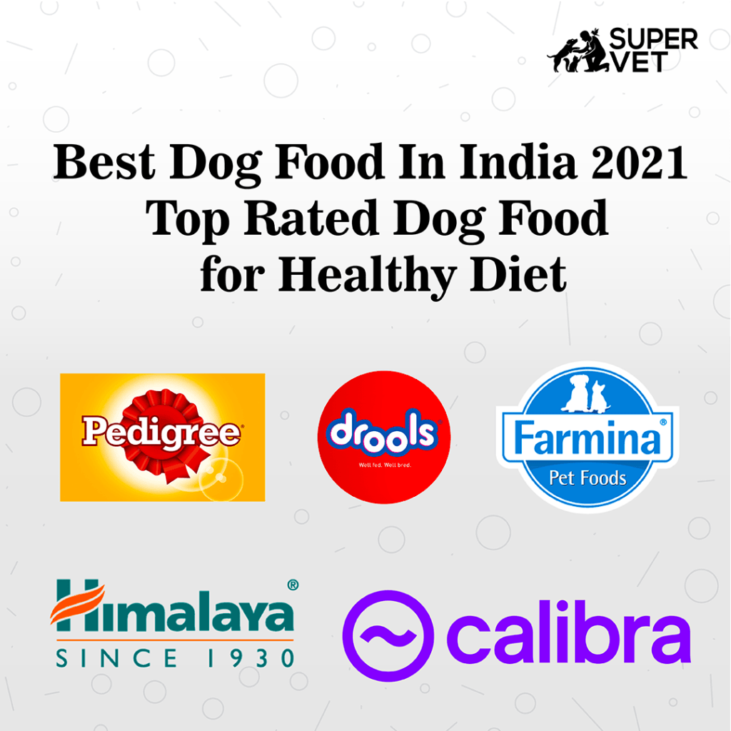 Best Dog Food In India 2021 Top Rated Dog Food for Healthy Diet
