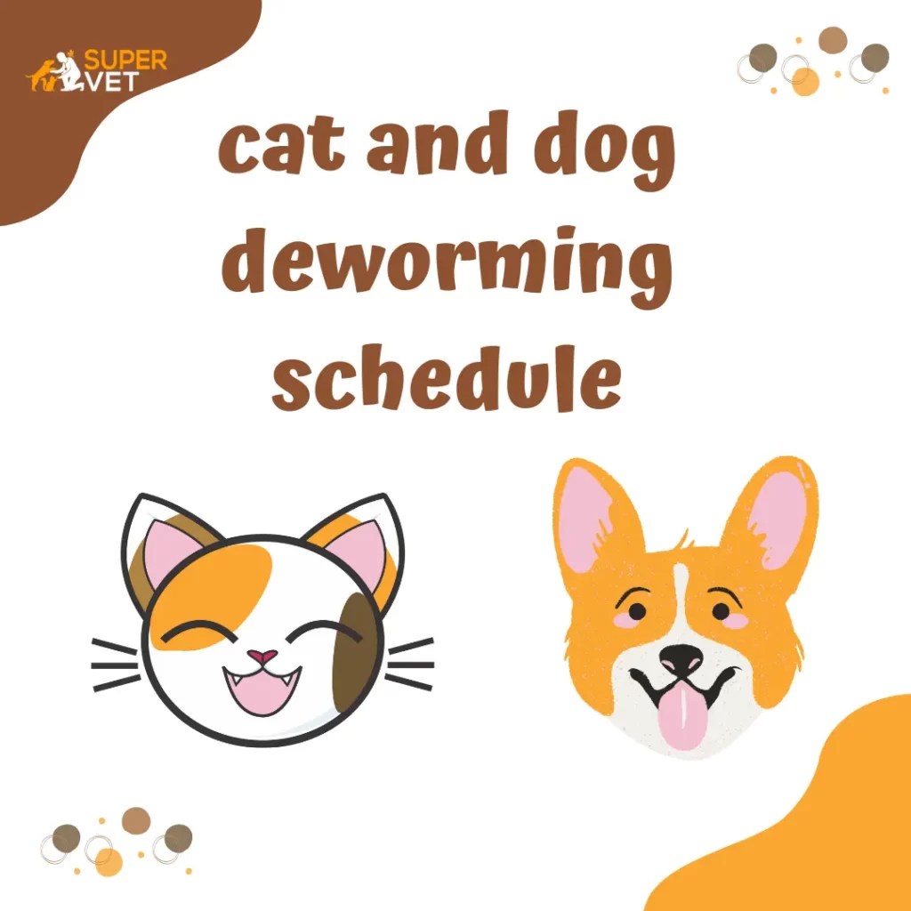 Deworming Treatment for dogs and Cats Everything you need to know