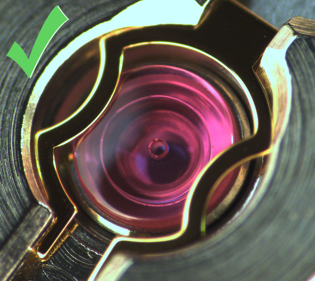 A Detailed Guide on Watch Jewels