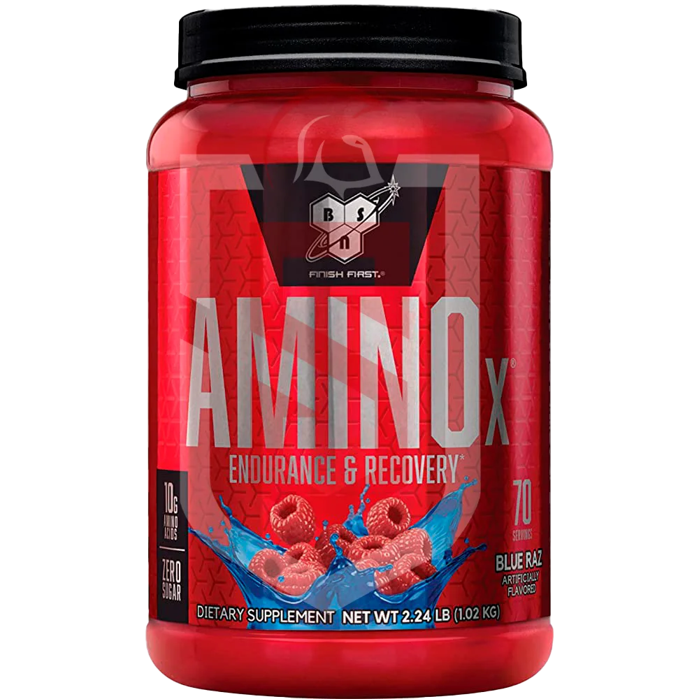 AMINO X BSN Suplementos Espartanos