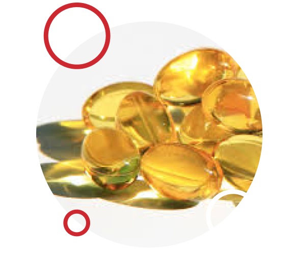 Fish Oil Supplement Factory