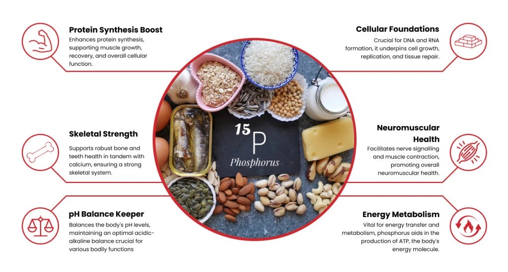 Phosphorus Supplement Factory
