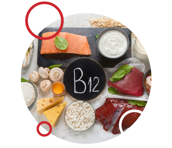 Vitamin B12 Cobalamin Supplement Factory