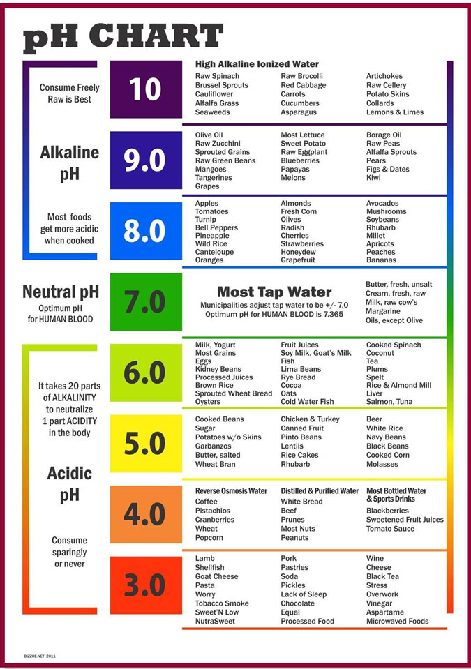Alkaline Diet Review Complete Guide To The Alkaline Diet