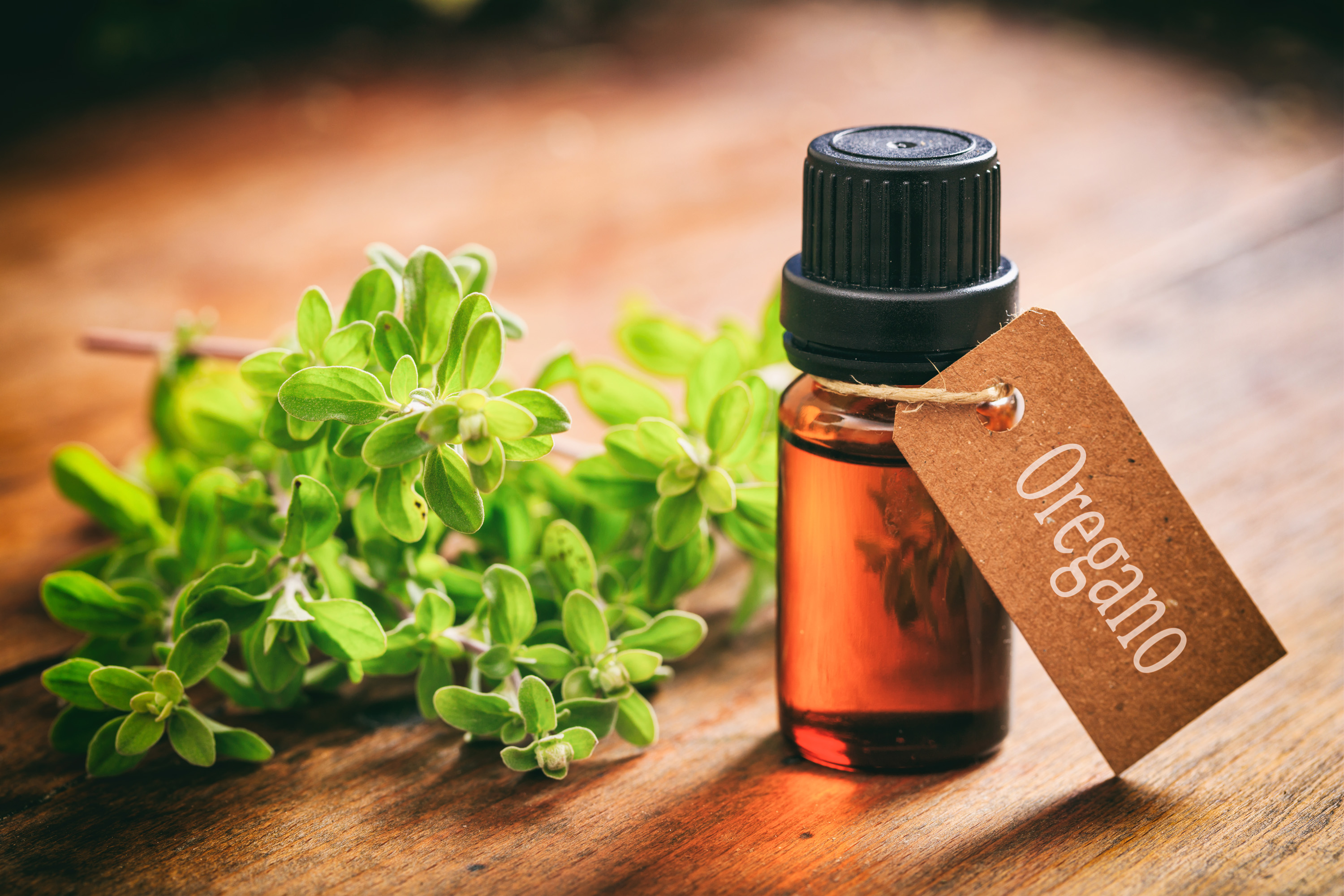 4 Benefits of Oregano (& Its Essential Oil) SelfDecode Supplements