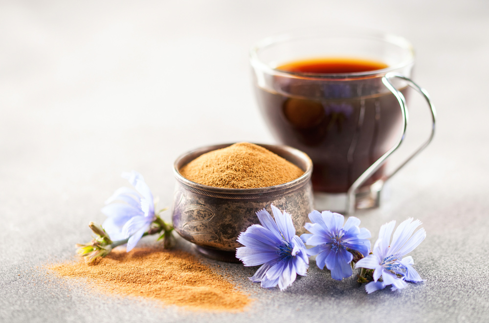 Chicory Root Coffee & Extract Benefits + Side Effects SelfDecode