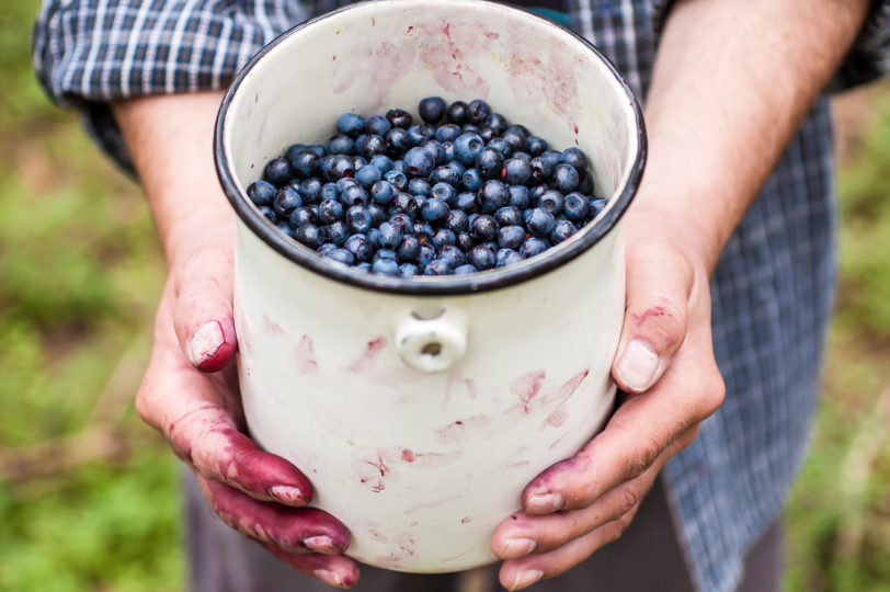 7 Bilberry Benefits (incl. Eye Health) + Side Effects & Dosage