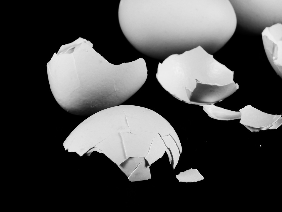 Eggshell Membrane for Joint Health Supplements in Review