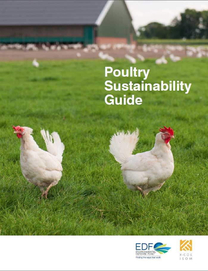 Poultry Sustainability Guide Supply Chain Solutions Center