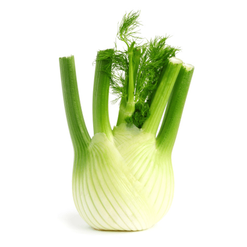 Fennel 1kg Supply Monsters