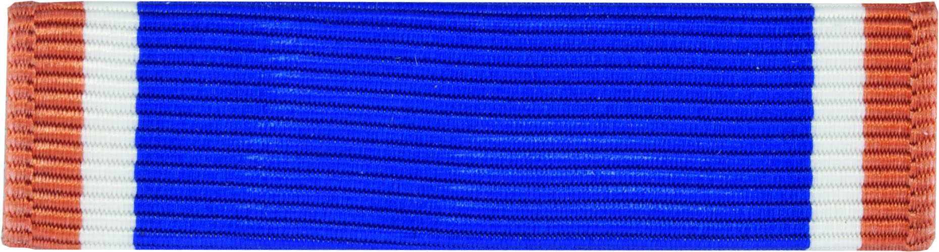 NJROTC Ribbon (RCR611) Naval Science I Honor Platoon (257C)