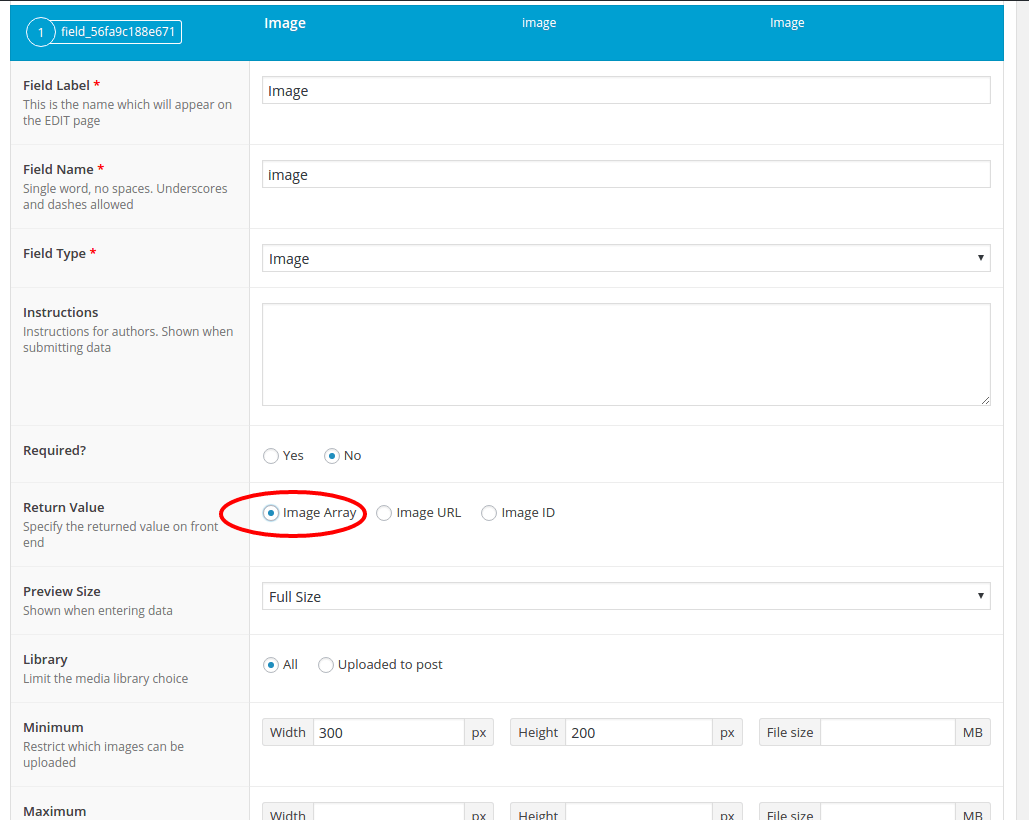 Images in Repeater not working ACF Support