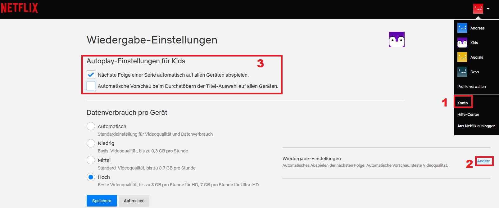 VideoStreaming Netflix aufnehmen Audials Support