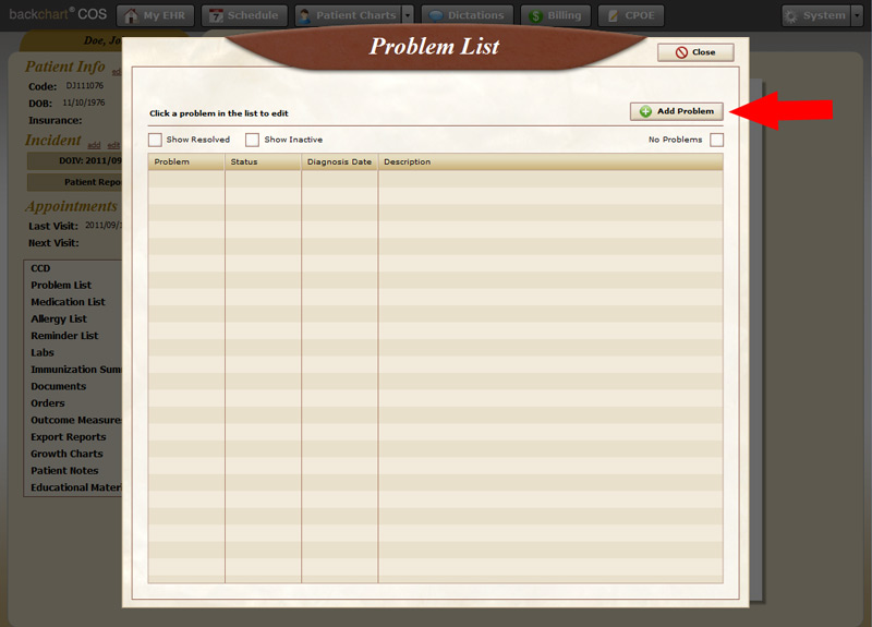 Demonstrating Meaningful Use Problem List BackChart® COS Support