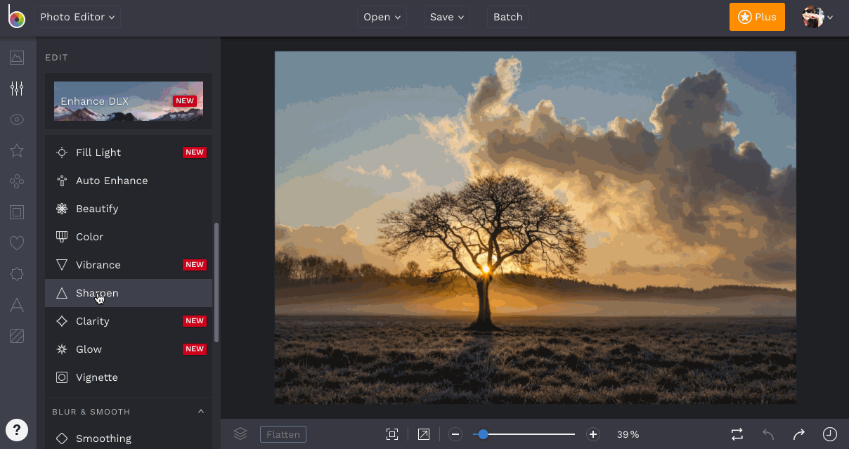 Clear Up Images with Sharpen Tool BeFunky Help Center