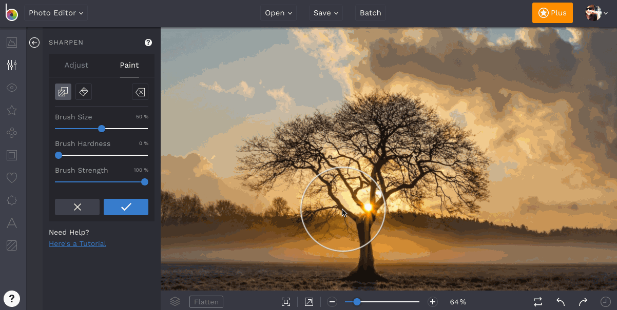 Clear Up Images with Sharpen Tool BeFunky Help Center