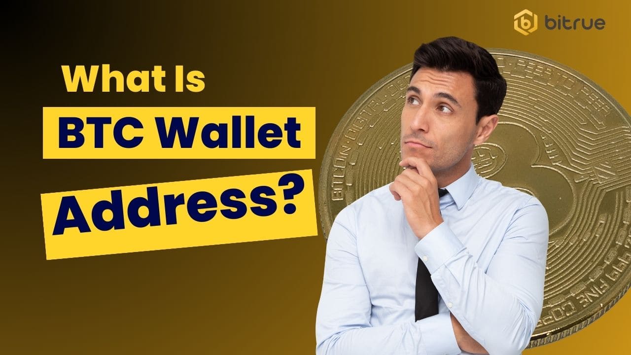 What is Bitcoin Wallet Address and How to Get It? Bitrue FAQ
