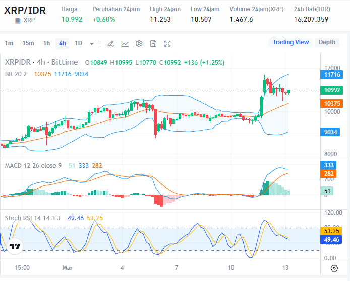 XRP (XRP) Analisis dan Prediksi Harga di Tahun 2024 Bittime