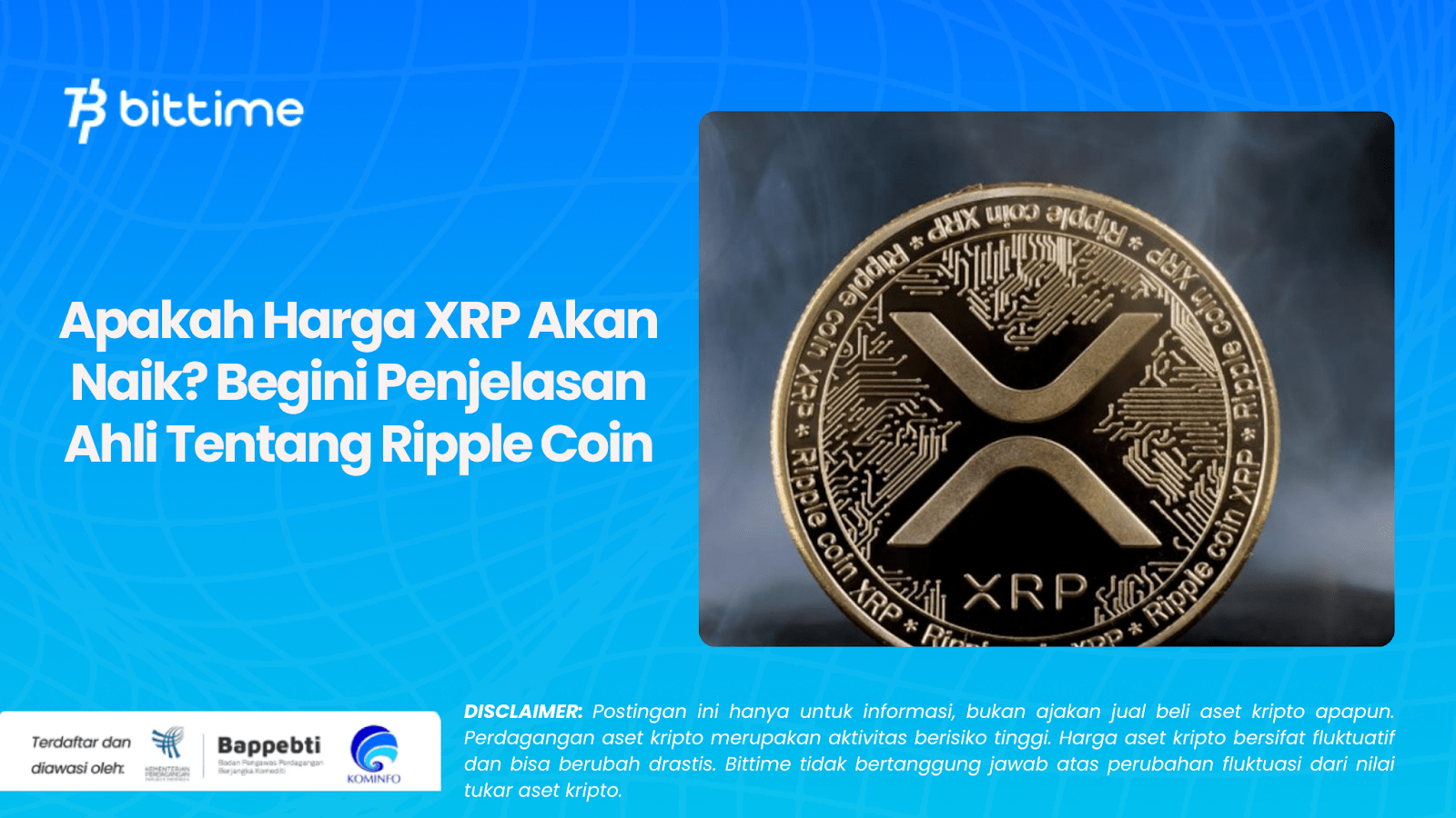 Apakah Harga XRP Akan Naik? Begini Penjelasan Ahli Tentang Ripple Coin