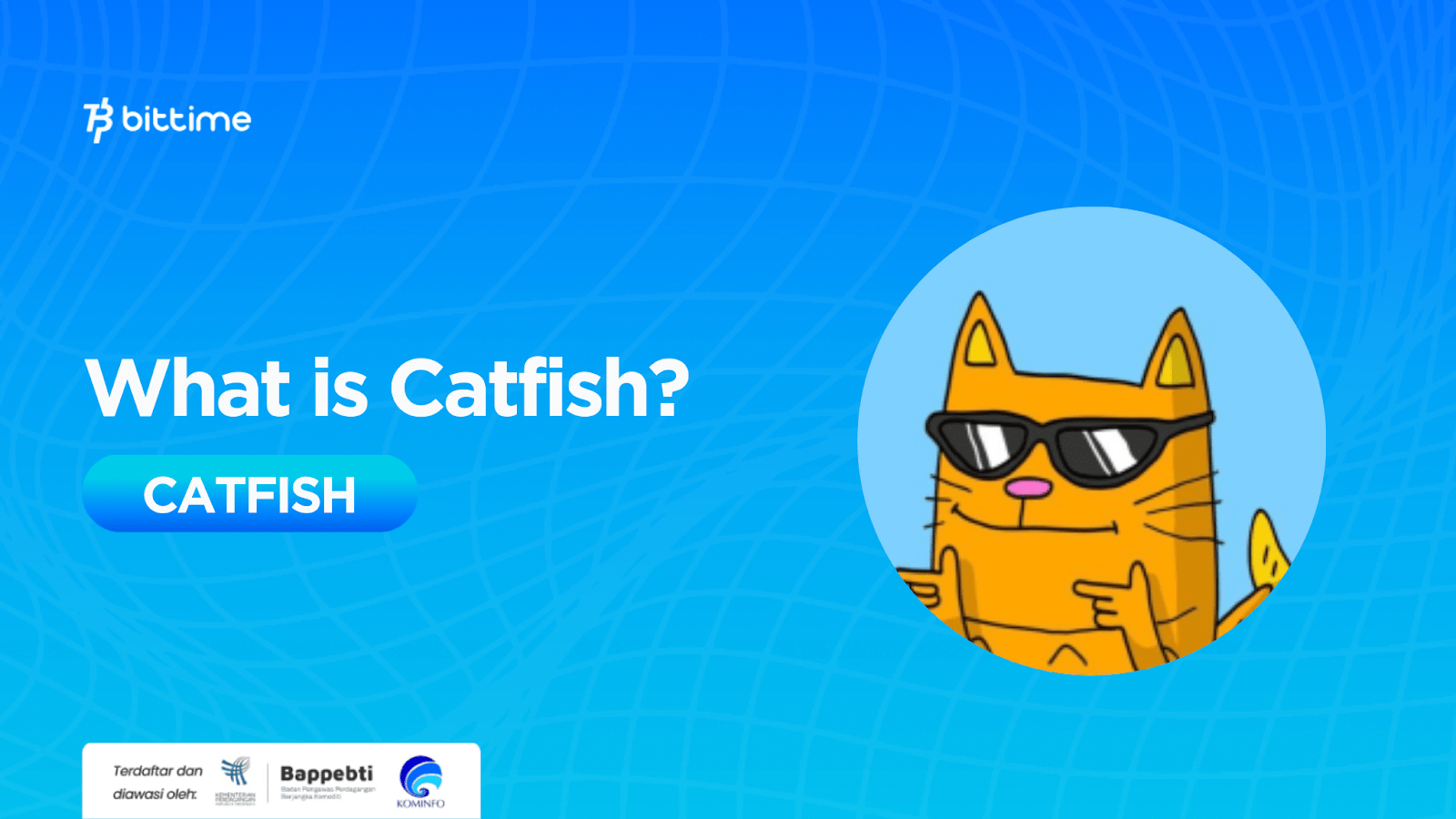 What is Catfish (CATFISH)? Solutions for Digital Payments Bittime