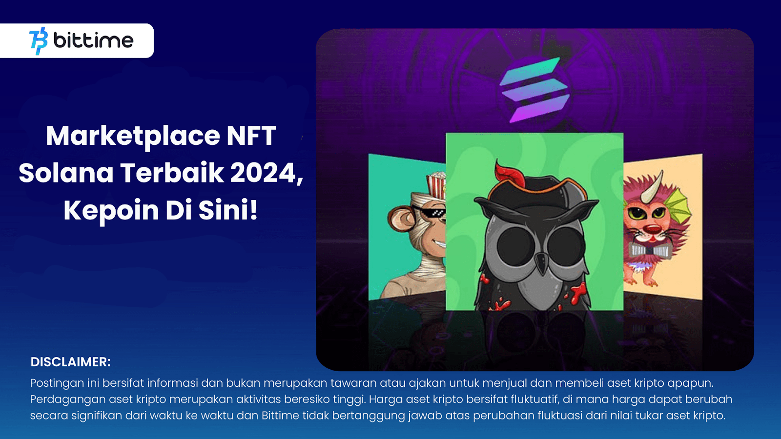 Best Solana NFT Marketplace 2024, Get Your Points Here! Bittime