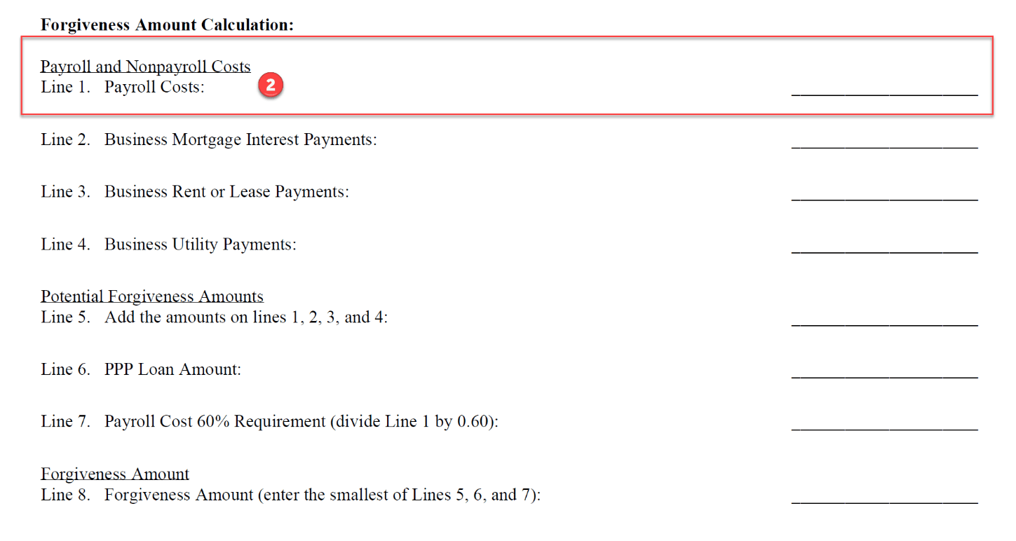 PPP Loan StepByStep Guide Form 3508EZ Brand's Help Desk