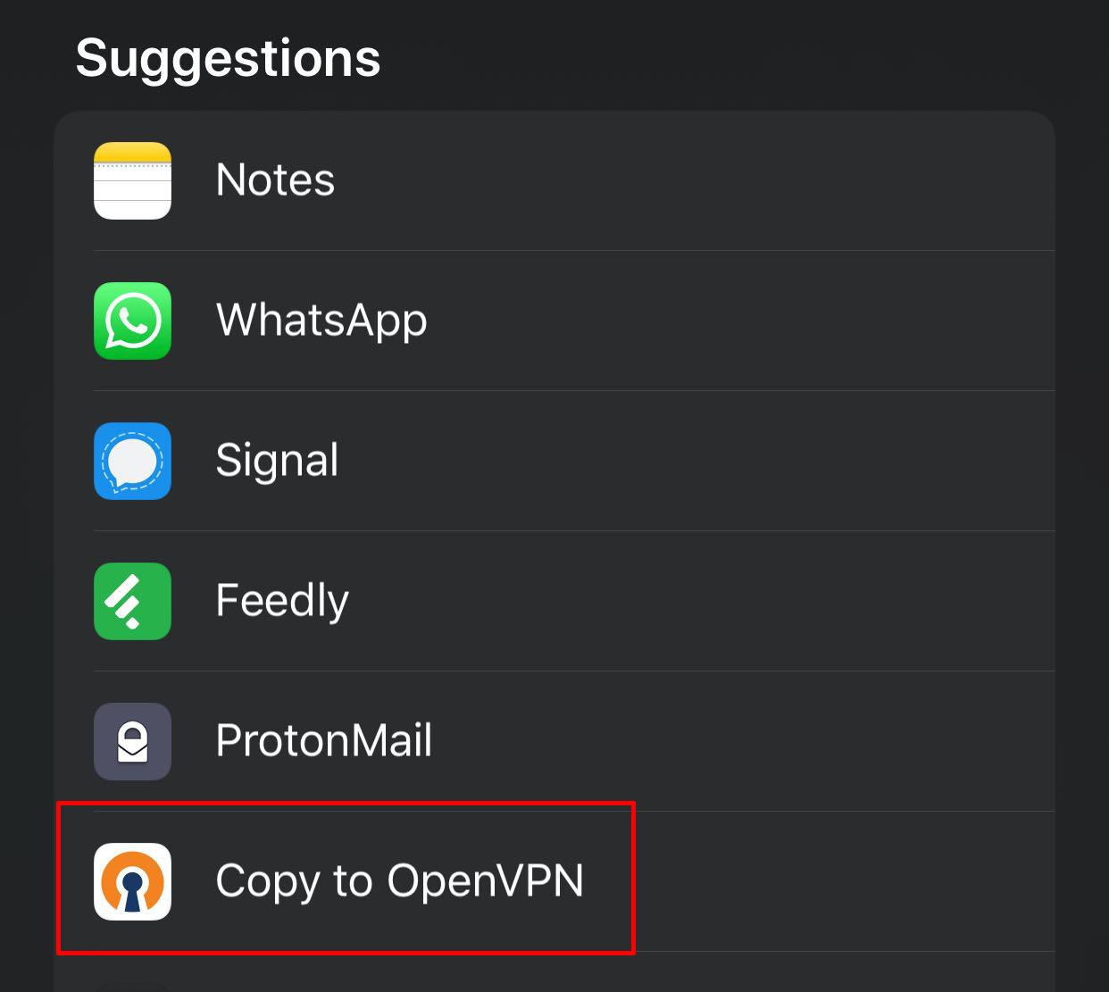 iOS OpenVPN Setup Celo VPN Help Center