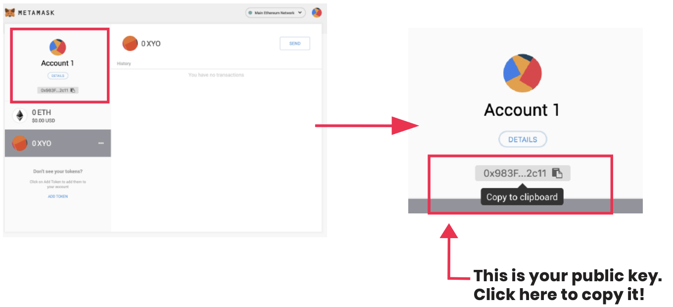 How to Download and Use Metamask Wallet COIN App