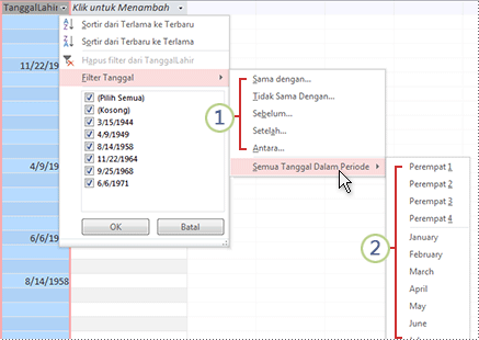 Menerapkan filter untuk menampilkan catatan pilihan di database Access
