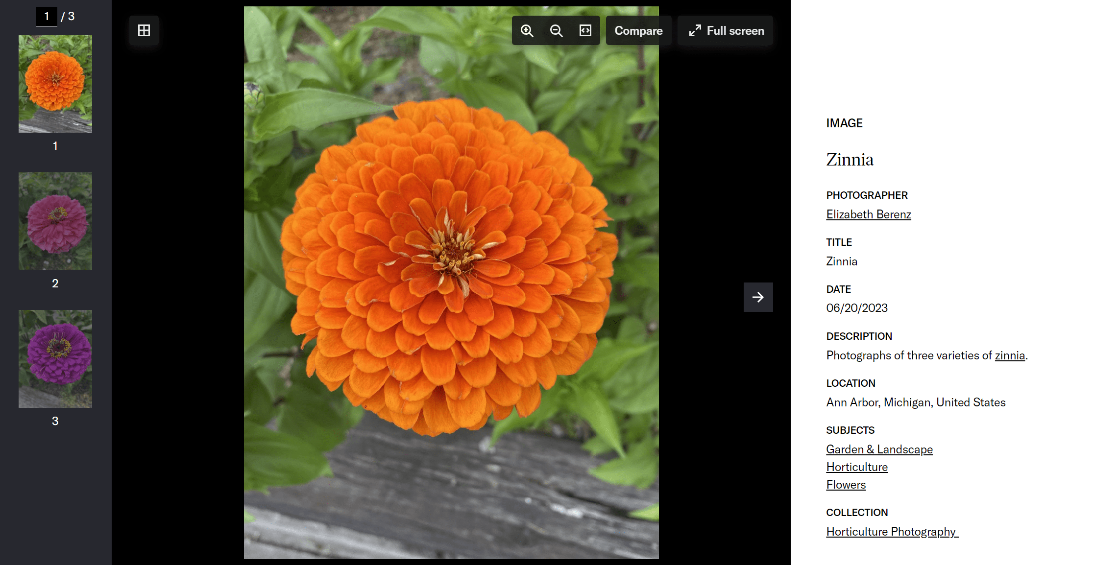 Compound Objects in Collection Loader JSTOR Shared Collections Support