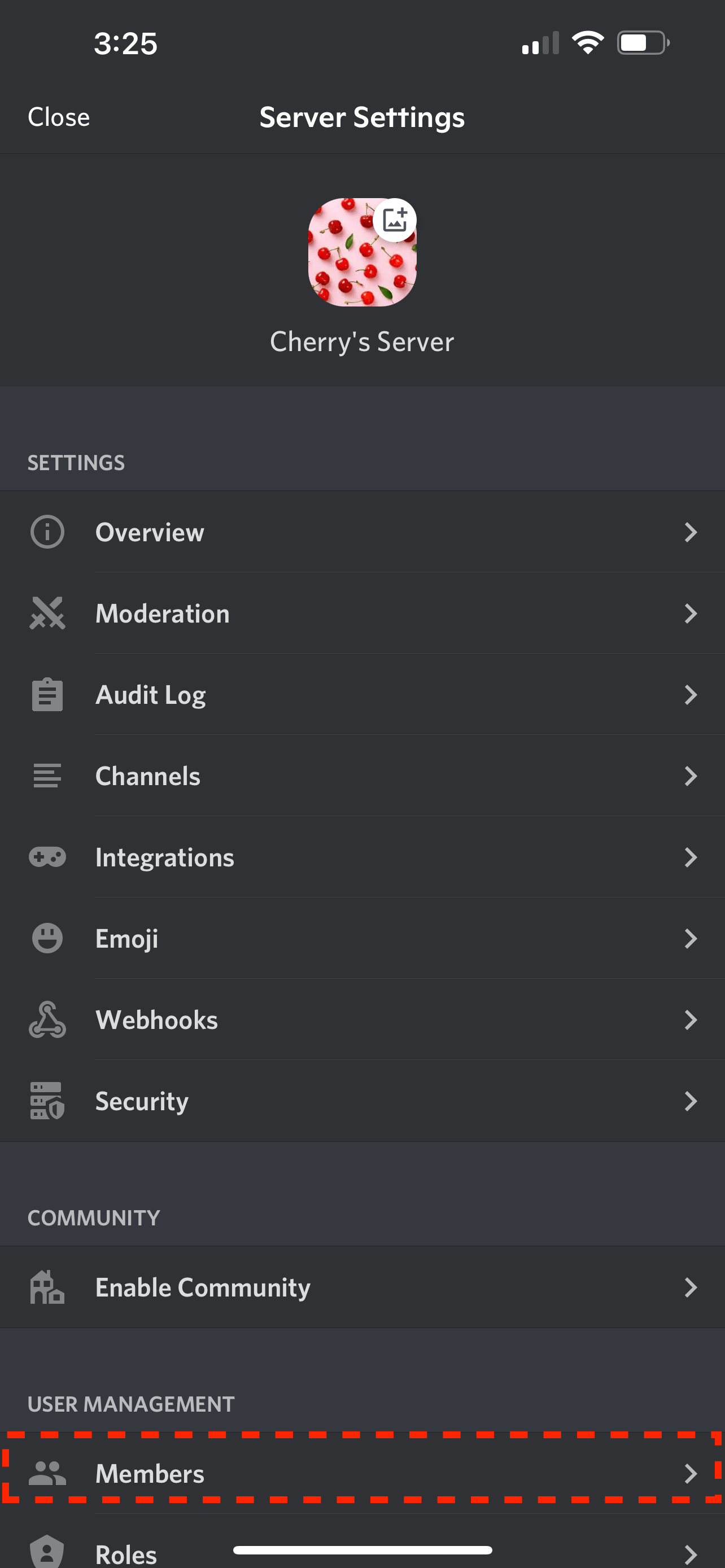 How to Prune Discord